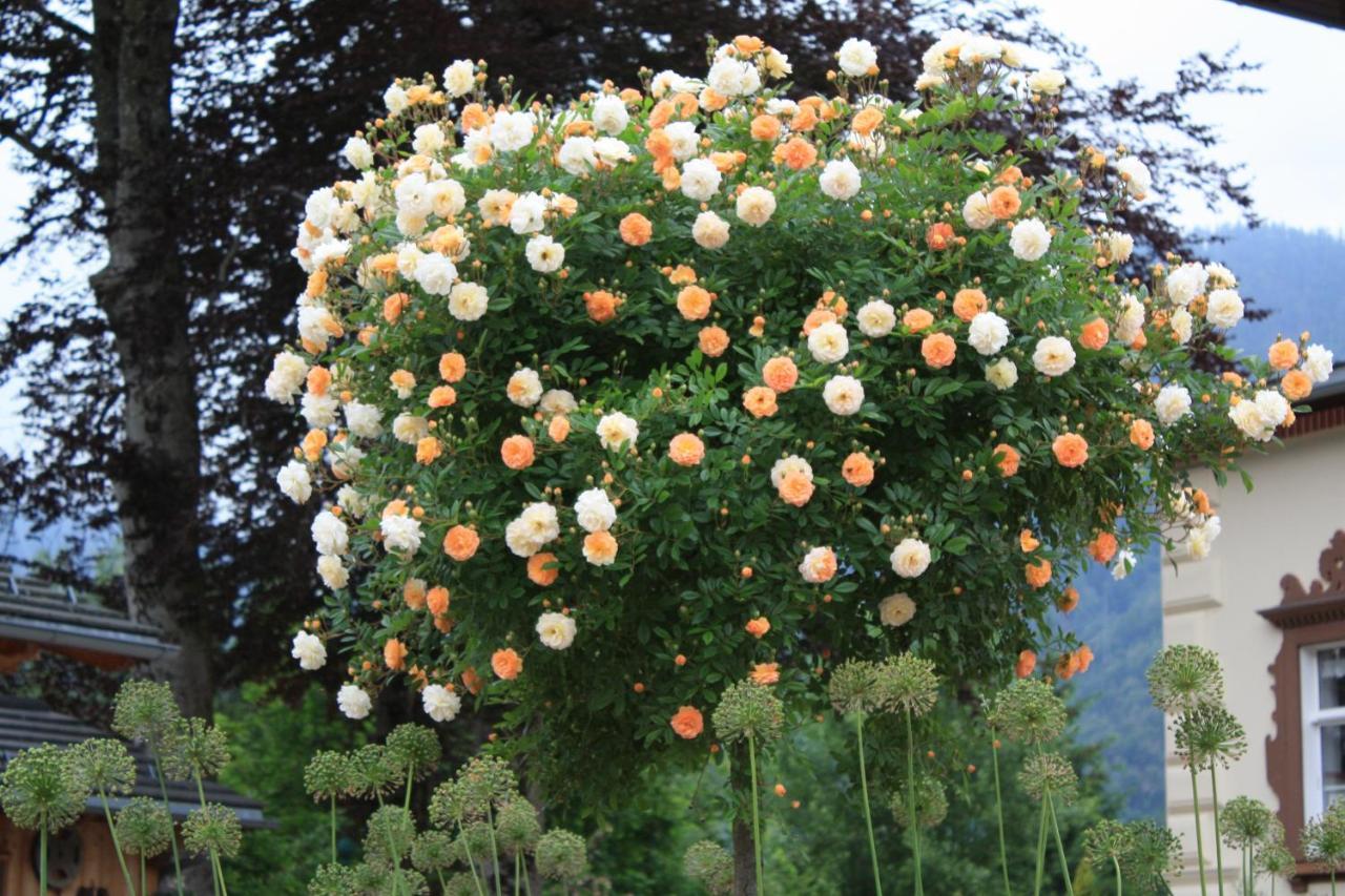 Wohnen Am See Villa Schroetter Direkt Am Traunsee Rindbach ภายนอก รูปภาพ